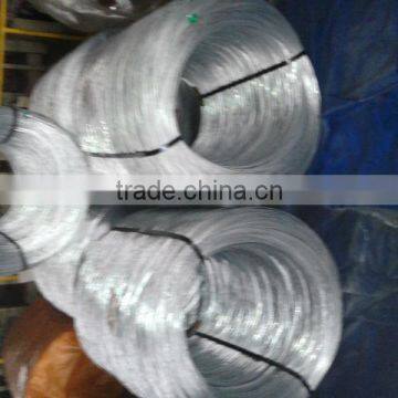 4.4MM E.G electro galvanized steel wire for MESH ( factory)