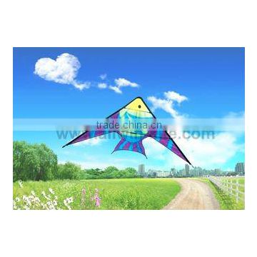 Dual Line Delta Stunt Kites - Special Design Kites