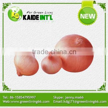 Safety Valve China Fresh Onion