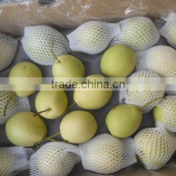 Fresh Shandong Pear New Season Crop