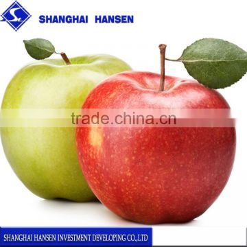 Import Agent of Chile's apple for Customs Clearance import agency service