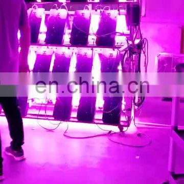 Double switch greenhouse led grow light full spectrum 600w led plant lamp