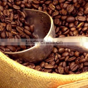 Robusta coffee bean export quality Grade A