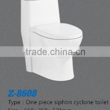 Simple style sanitary ware european siphonic flush toilet