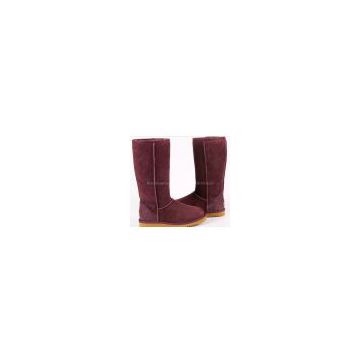 2010 new style UGG Women's Classic Tall boots,5815,purple