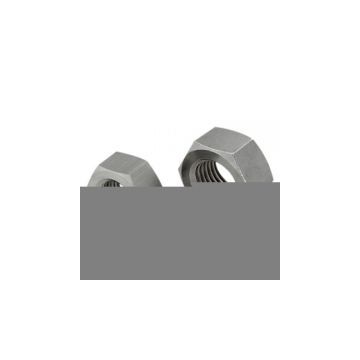 Sell Stainless Steel Nut