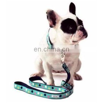 2017 best selling pet products flashing dog leash in china manufacture