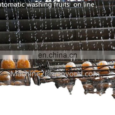 High Quality Customized Fruit and Vegetable Processing Line for washing sorting machine