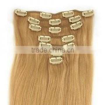 European 100% remy clip in hair sample welcomed