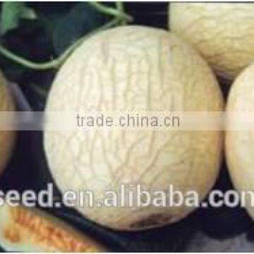 Balan No.2 No cracking and good resistance f1 melon seeds