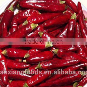 Sichuan Chilli