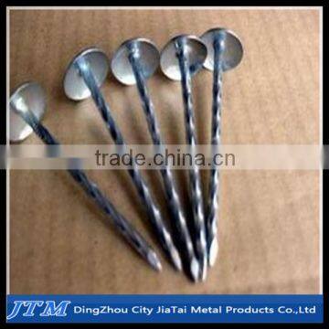 (17 years factory)Umbrella head roofing nails/Galvanized roofing nails