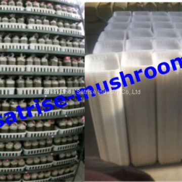 Hot sale safe PP compartment disposable frozen mushroom trays
