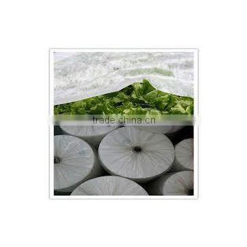 UV- PROTECTION (3%) PP SPUNBOND NON-WOVEN FABRIC FOR HORTICULTURE
