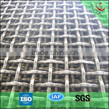 Galvanized crimped wire mesh (factory with low price)