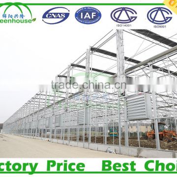 Used Galvanized Steel Pipe Frame Tunnel Greenhouse for Sale