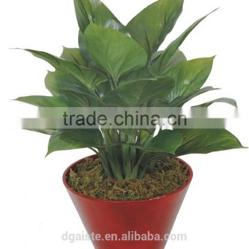 artificial green bonsai Omnia Green Jade 20-27J-GN2# ( plant bonsai flower tree of Este )