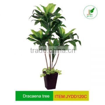 artificial lucky everygreen tree for office decoration
