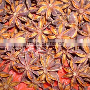 Aniseed for decorative of Christmas gift