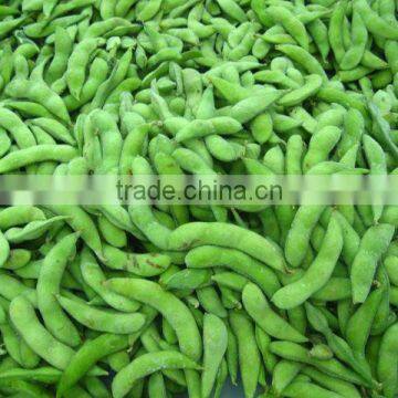 BRC,KOSHER,HALAL frozen edamame