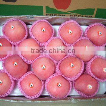 Rosy Blush fuji apple big sizes- hot sale