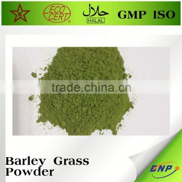 100%Natural Barley Grass Extract Juice Powder