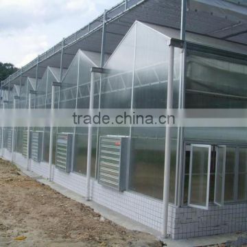 Various agricultural multi span polycarbonate greenhouse