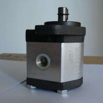 0.25d30 Marzocchi Alp Hydraulic Gear Pump Standard 500 - 3500 R/min