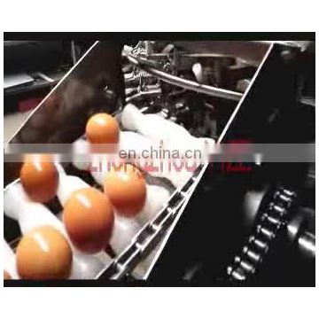 High efficiency stainless steel egg white separating machine egg breaker separator machine