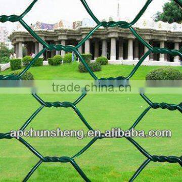 hexagonal wire netting