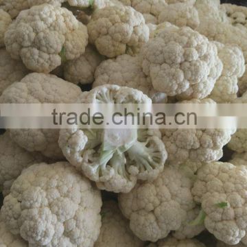 Fresh white cauliflower