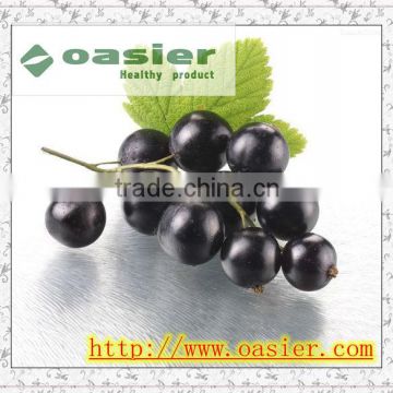 Natural GMP hot sale Blackcurrant Extract Powder