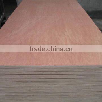 Liansheng with 17 years plywood experience that cheap products for India market sale