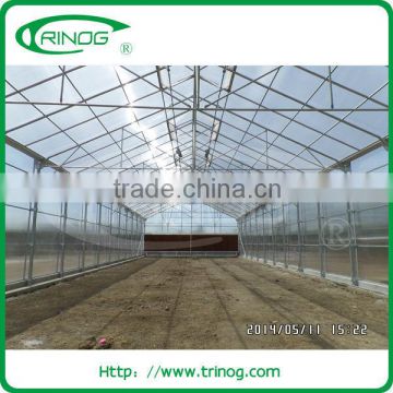 Energy saving polycarbonate greenhouse for commercial