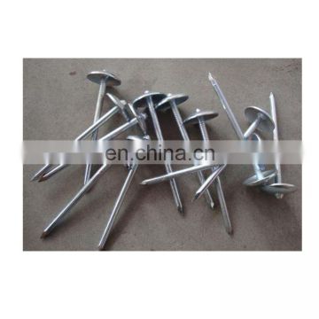 Umbrella Head Roofing Nail Type Roofing Nails