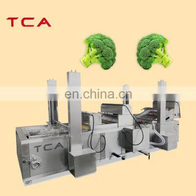 TCA high efficiency fruit and vegetables washing machine