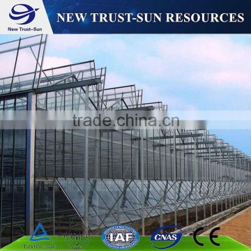 Cheap multi-span PC sheet/board greenhouse for vegetable/flower plant