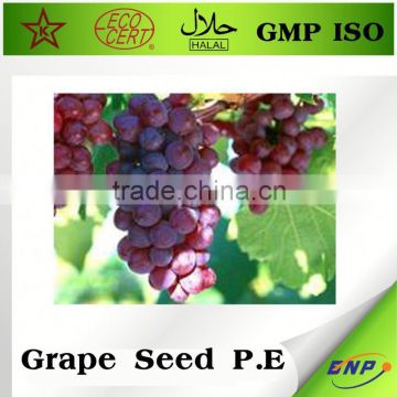 High Quality High Purity Grape Seed Extract