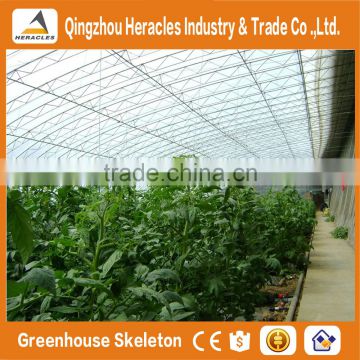 Heracles low cost mini plastic sunlight greenhouse