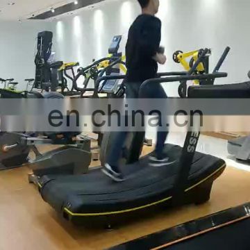Commercial Gym Equipment Professional Work out Series China Supplier Fitness Back Extension for  sports