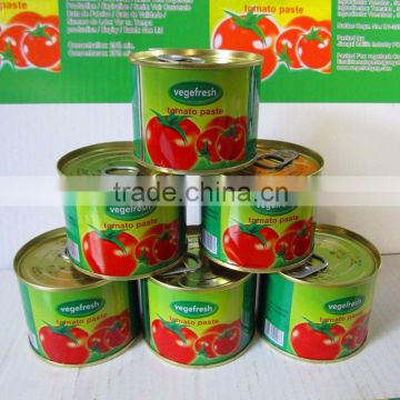 198g canned tomato paste brands with good quality