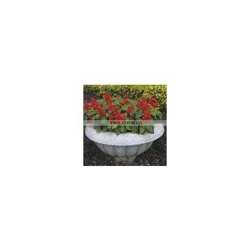 Flowers Pot Planter Garden decoration