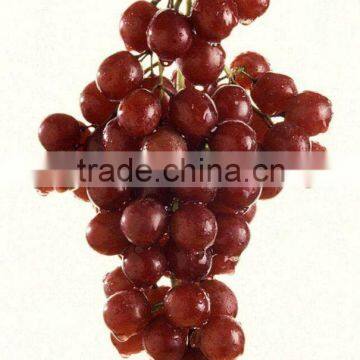 Fresh Sweet Green Grape