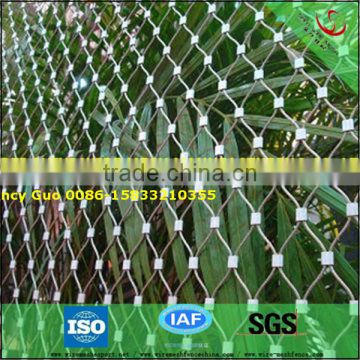 SS304 ,SS316 steel rope brid mesh & zoo animal encloure (high quality )