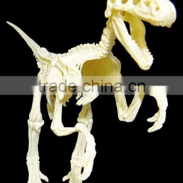 High quality plastic dinosaur skeleton,Custom dinosaur skeleton toy,Lifelike skeleton model toys