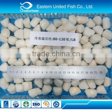 alibaba gold supplier frozen scallop meat/adductor