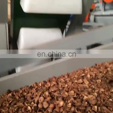 Sunrise Factory price apricot processing machine