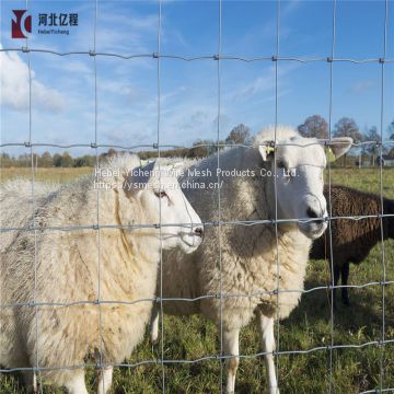 Surrounding type metal fence for grassland /field fence attractive appearance