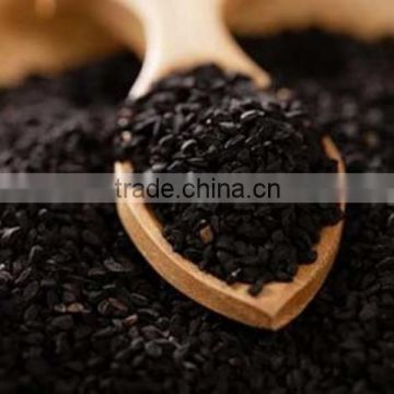 Natural Herbal Black Seed Oil Wholesale Supply Kalonji Oil 100& % Pure Natural Habbatus Sauda