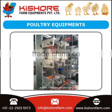 Poultry Equipments